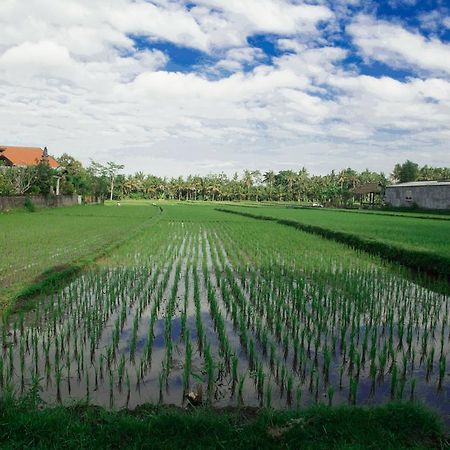 Canang Sari House Убуд Екстериор снимка